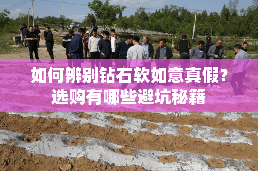 如何辨别钻石软如意真假？选购有哪些避坑秘籍
